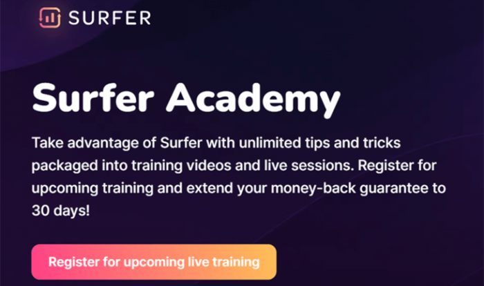 surfer-seo-training