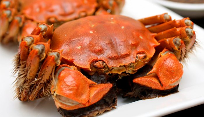 Crazy Good Crab Recipes 7 Must Try Crab Dishes At Your Local Seafood Restaurant Growth