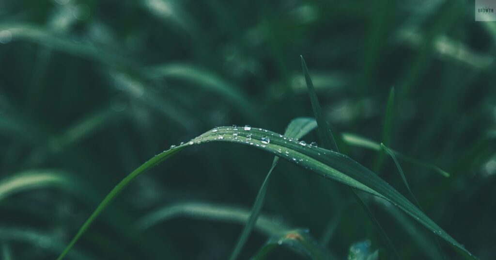 what Christianity, Islam, and Judaism didn’t teach you