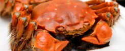 crab-dishes