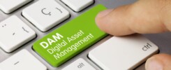 digital-asset-management